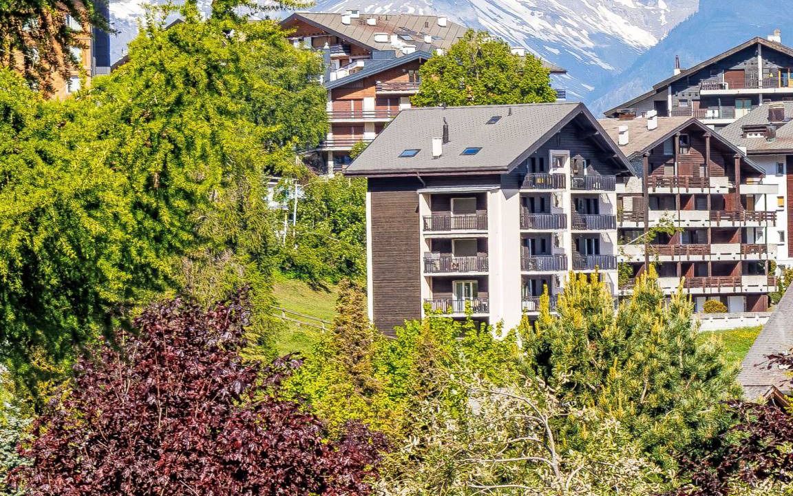 Nendaz Apartment | 47 m² Apartment ∙ 1 bedroom ∙ 4 guests