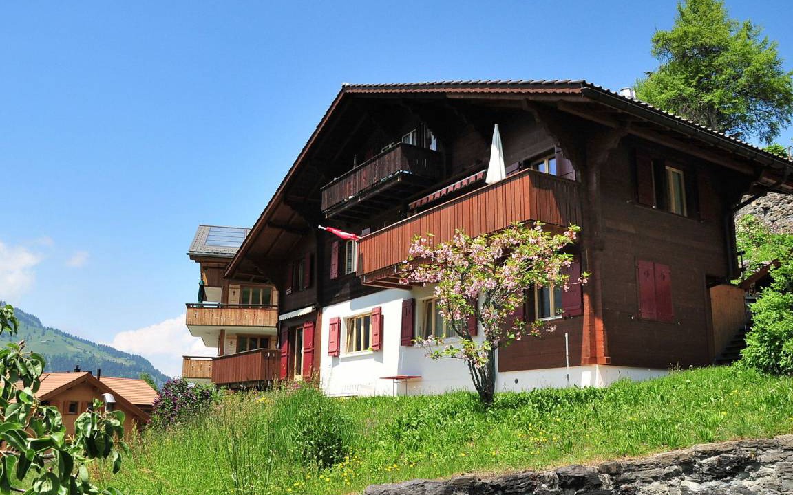 Wengen Apartment | 50 m² Apartment ∙ 1 bedroom ∙ 4 guests
