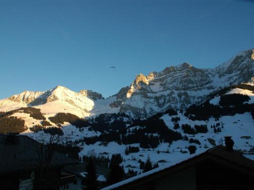 Adelboden Apartment | Apartment Bärgchutzli Parterre by Interhome