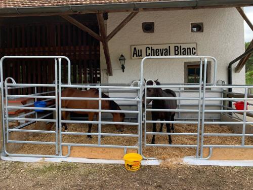Asuel House | Au Cheval Blanc