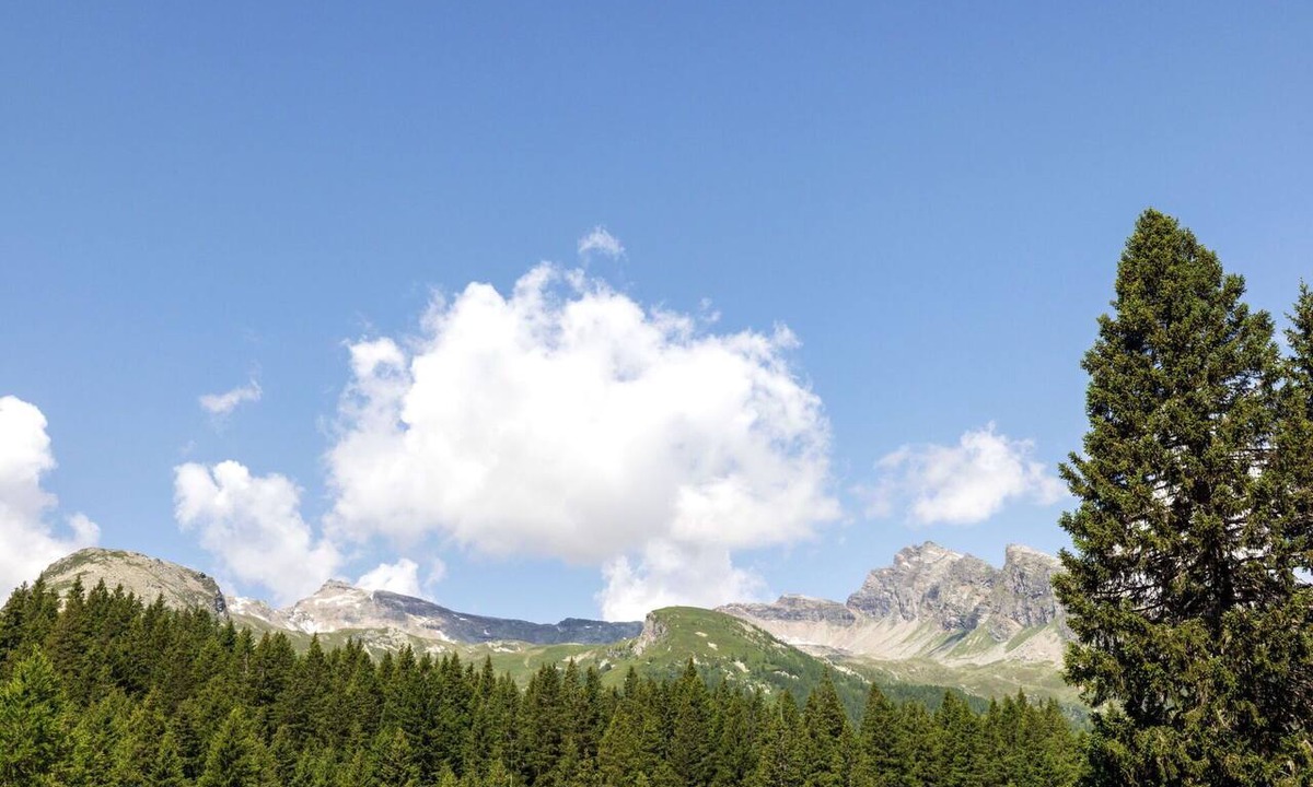 Mesocco Apartment | Beautiful apartment for 3 people with WIFI, TV, patio and pets allowed