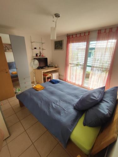 Riazzino House | Casa Diana Ticino