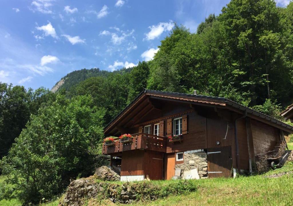Burglauenen Ski Chalet | Chalet Julian