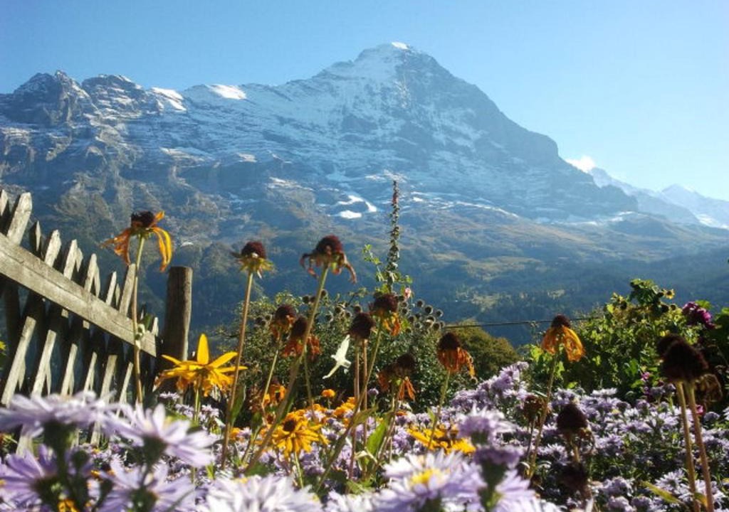 Grindelwald Apartment | Chalet uf em Stutz 1
