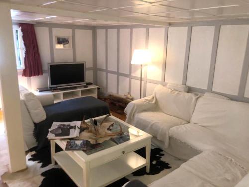 Andermatt Apartment | Charming Swiss Chalet Andermatt