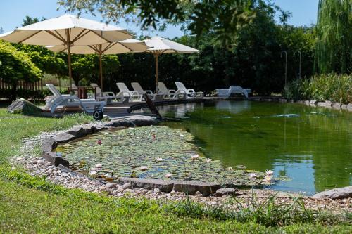 Sud House | Corte all'Olmo