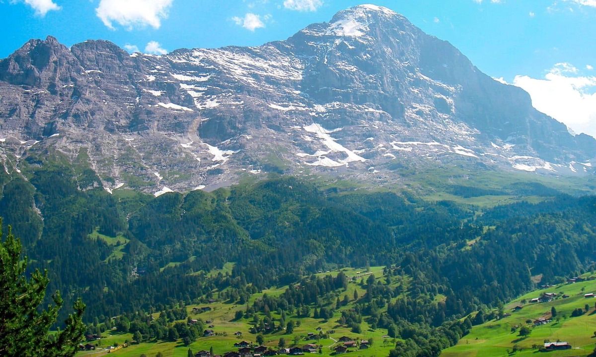 Grindelwald Apartment | Cosy apartment for 6 guests with WIFI, TV, balcony and pets allowed