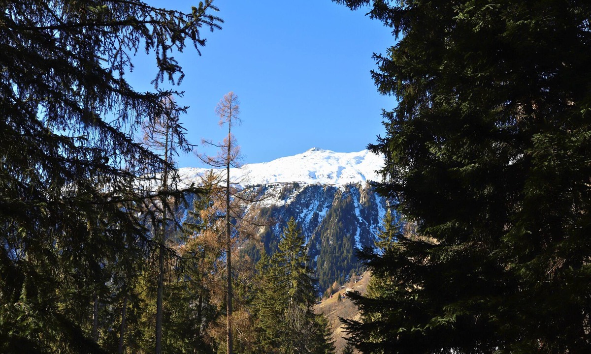 Blatten bei Naters Ski Chalet | Cosy Forest Chalet with Privacy, Mountain View & Tranquility