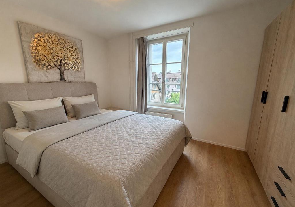 Lucerne Apartment | Cozy 2 Room Apartment 5 Min to Lucerne City