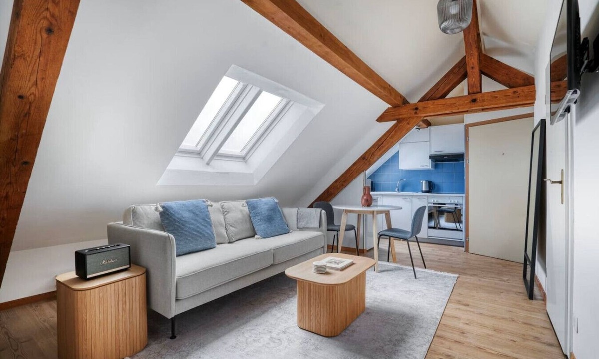Wipkingen Apartment | Eagle Suite · Grosses Dachstudio in Wipkingen