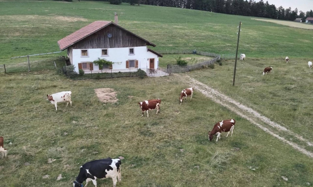 Le Noirmont House | la ferme de la gaby by Interhome