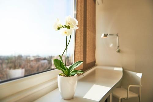 Vevey Hotel | Le Leman Hotel