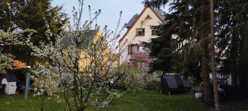 Lichtenstein Apartment | Monteur oder Ferienwohnung