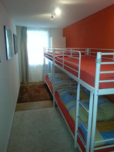 Realp Apartment | Realp-Andermatt 3,5 locali giardino privato In mezzo la natura, spettacolare per appassionati montanbike, pesca ecc In inverno fai sci di fondo dal giardino e con il treno davanti a casa si raggiunge in 5min il comprensorio scistico di Andermatt