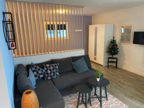 Willigen Apartment | Spring Inn Apartments
