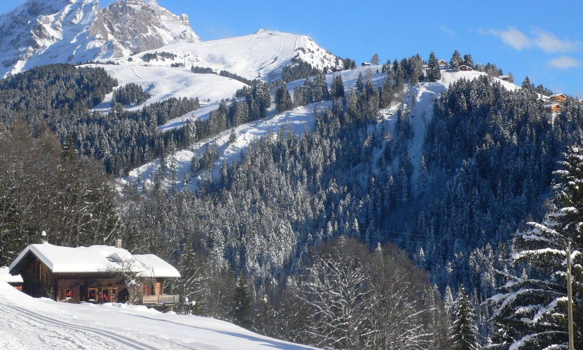 Chesieres House | Stunning private villa for 8 people with WIFI, TV, terrace and panoramic view