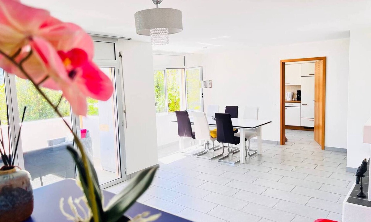 Brissago Apartment | Sunny Modern Apartment Lake View Relax