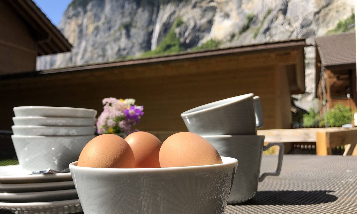Lauterbrunnen Apartment | Terrace with View Cozy Retreat Free Parking