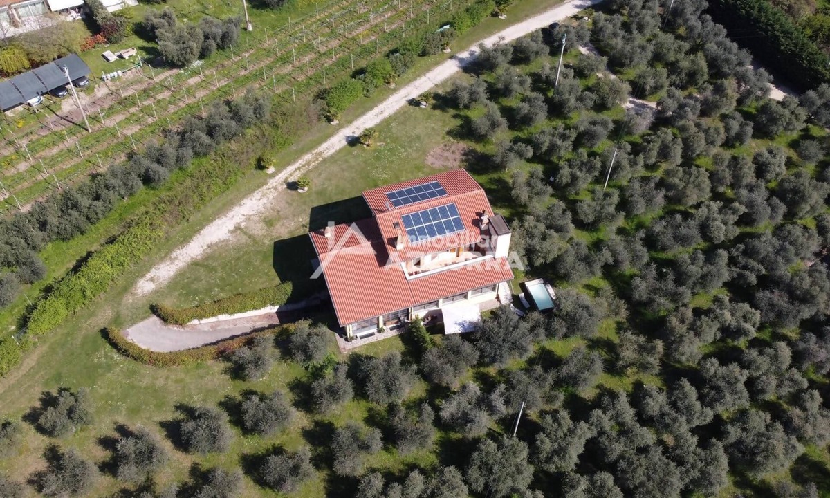 Bardolino House | Villa i Roccoli - olive trees with private pool