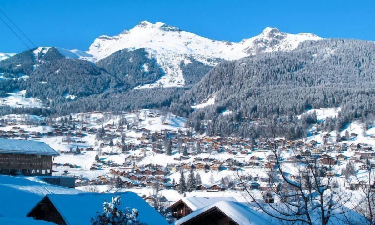 Grindelwald Apartment | Wychel by Interhome