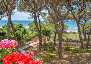 1 bedroom accommodation in Puntone in Puntone
