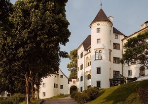 Castle Suite (breakfast) - IMLAUER Hotel Schloss Pichlarn in Gatschen