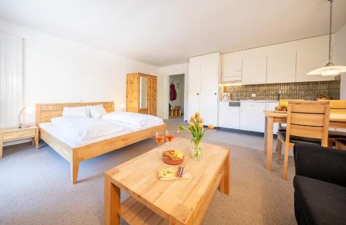 Vulpera Apartment | 3206 Bequemes und helles Studio