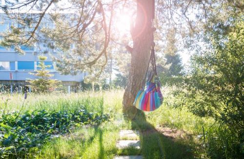 Einsiedeln Hostel | Allegro Alpin Lodge
