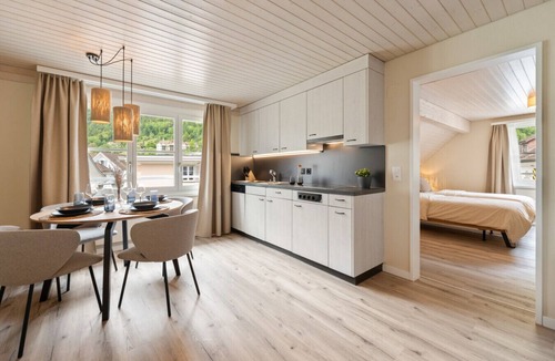 Altdorf Apartment | AlpsView Amber/FreeParking/AC/Andermatt/Lucerne