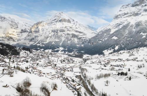 Grindelwald Apartment | Apartment Chalet Abendrot apARTments-6 by Interhome
