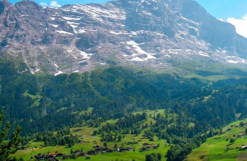 Grindelwald Apartment | Apartment Chalet Achat in Grindelwald - 6 persons, 3 bedrooms