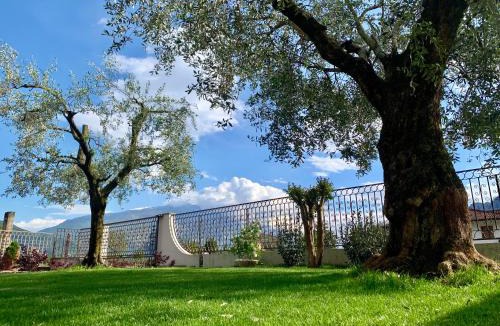 Arco Apartment | Appartamenti Villa Sonia