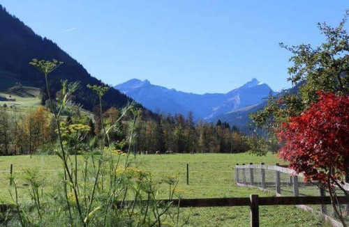 Gstaad Apartment | Baumerhus Appartement/Fewo, Dusche oder Bad, WC 2-Bettwohnung by Interhome