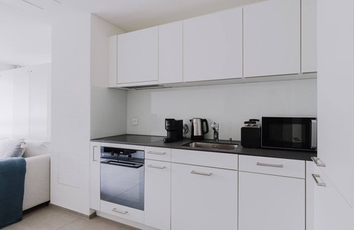 Old Town Apartment | Blueground | Oberstrass, rooftop, kitchen