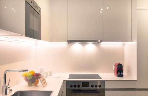 Basel City Centre Apartment | BS DaVinci I - Town Hall HITrental Apartments