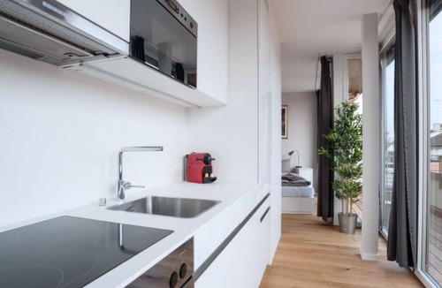 Basel City Centre Apartment | BS Monet V - Marktplatz HITrental Apartment by Interhome