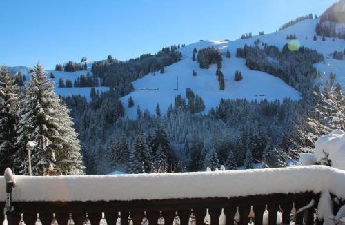 Moleson Ski Chalet | Chalet Henri by Interhome