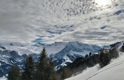 Adelboden Apartment | Chalet Studio