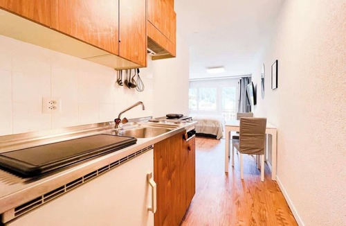 Taesch Apartment | Charming Täsch Studio w/Terrace & Free Parking