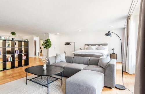Schaffhausen Apartment | CITY-LOFT 1 !Gratis parken, Free parking!
