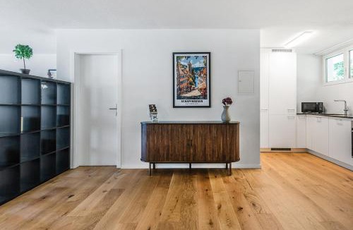 Schaffhausen Apartment | CITY-LOFT 1 !Gratis parken, Free parking!