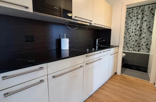 Lucerne Apartment | Cozy 2 Room Apartment 5 Min to Lucerne City