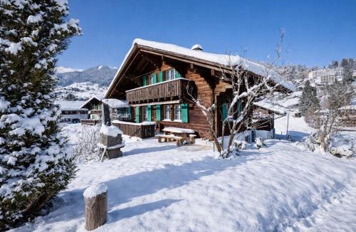 Grindelwald Ski Chalet | Cozy traditional Chalet, Stunning Mountain Views