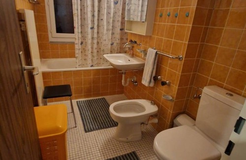 Bivio Apartment | Curtinfess Rezzonico Appartement/Fewo, Bad, WC, 1 Schlafraum by Interhome