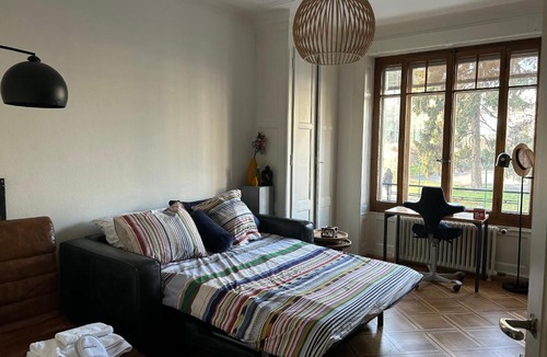 Secheron House | Doubleroom, Kitchen, free transport card- Geneva Lake