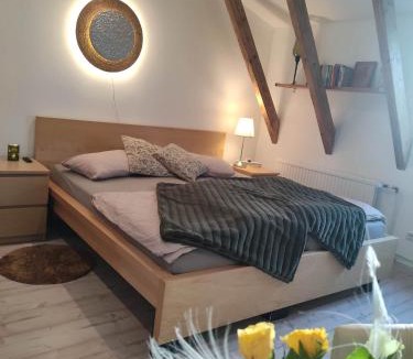 Karolinenkoog Apartment | Eider