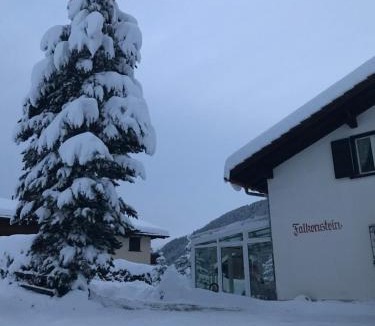 Davos-Platz Apartment | "Falkenstein"