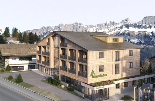 Flums Apartment | Ferienwohnungen Tannenboden, (Flumserberg Tannenboden), by Interhome