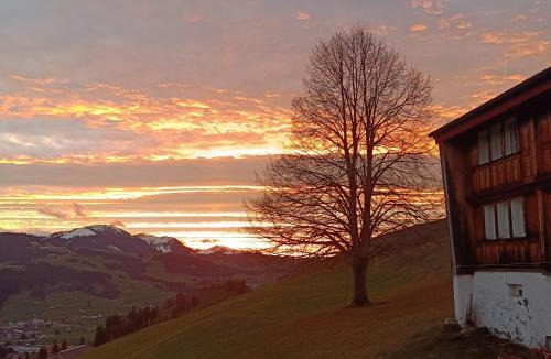 Meistersrute Apartment | Ferienwohnung Panorama Blick