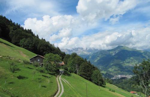 Pizol Apartment | Ferienwohnung Stirnimann-Gemsch